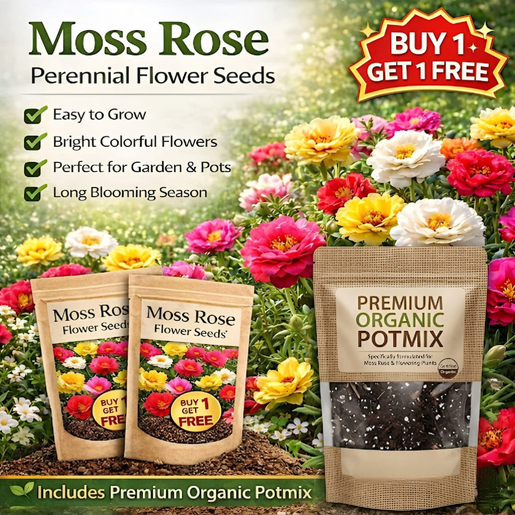 💫🌸BUY 1 GET 1 FREE | Moss Rose🌿Perennial Flower Seeds With Organic Potmix